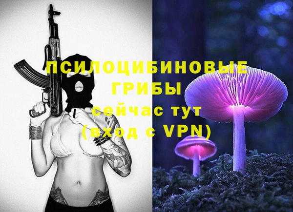 mdpv Володарск