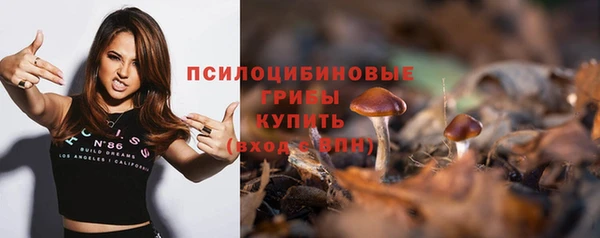 СК Приозерск