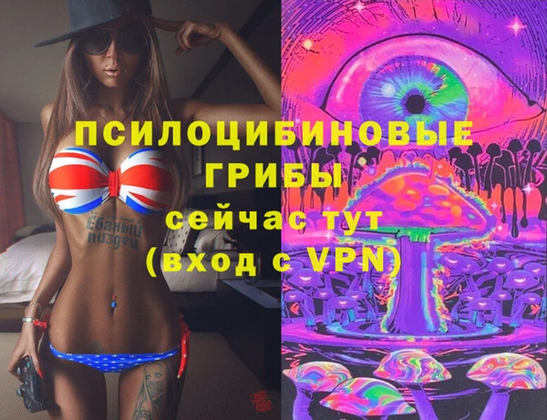 mdpv Володарск